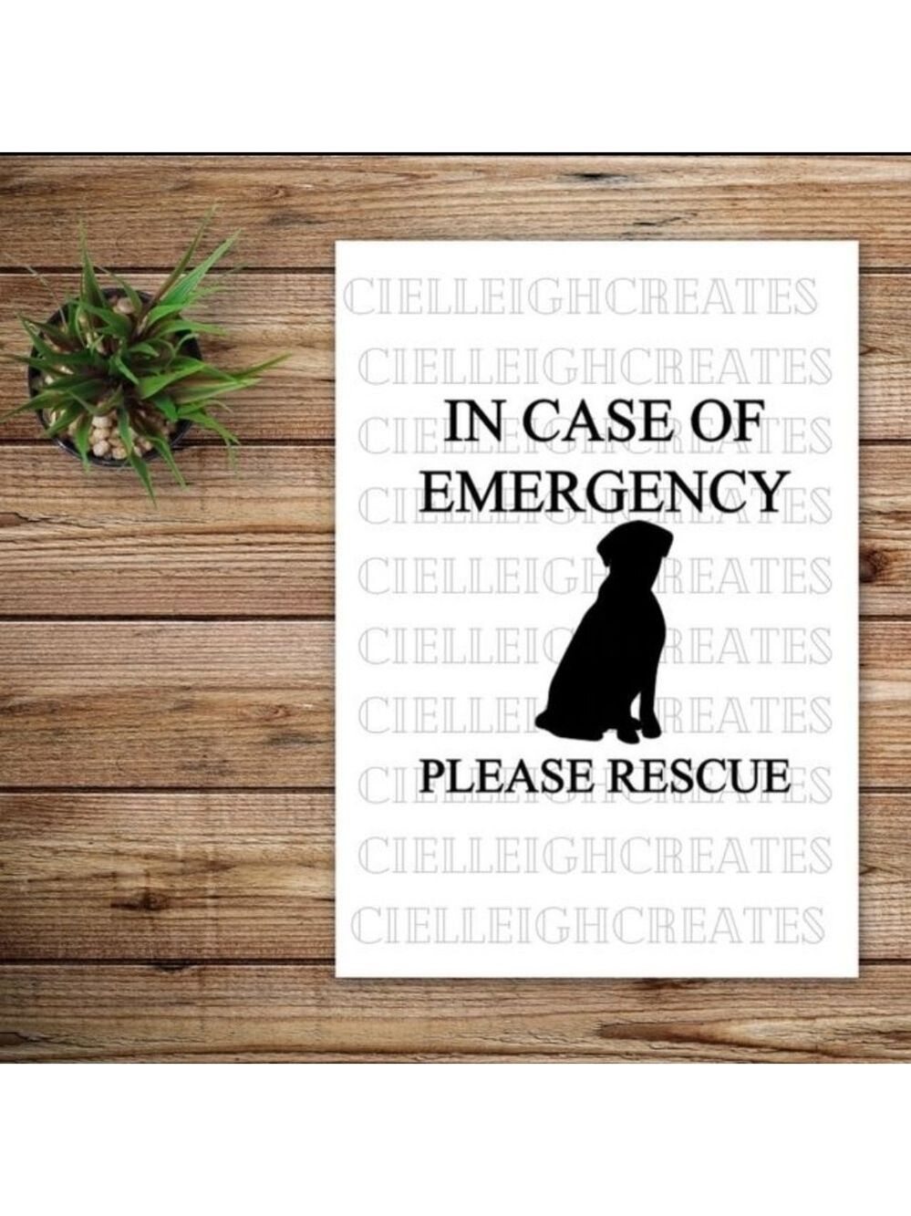 *2 for $20* In Case of Emergency Please Rescue Dog vinyl decal Handcrafted